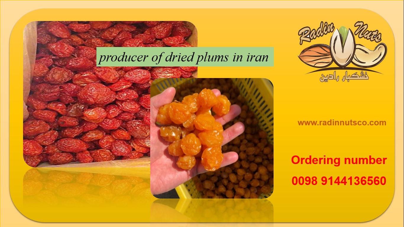 producer of dried plums in the word