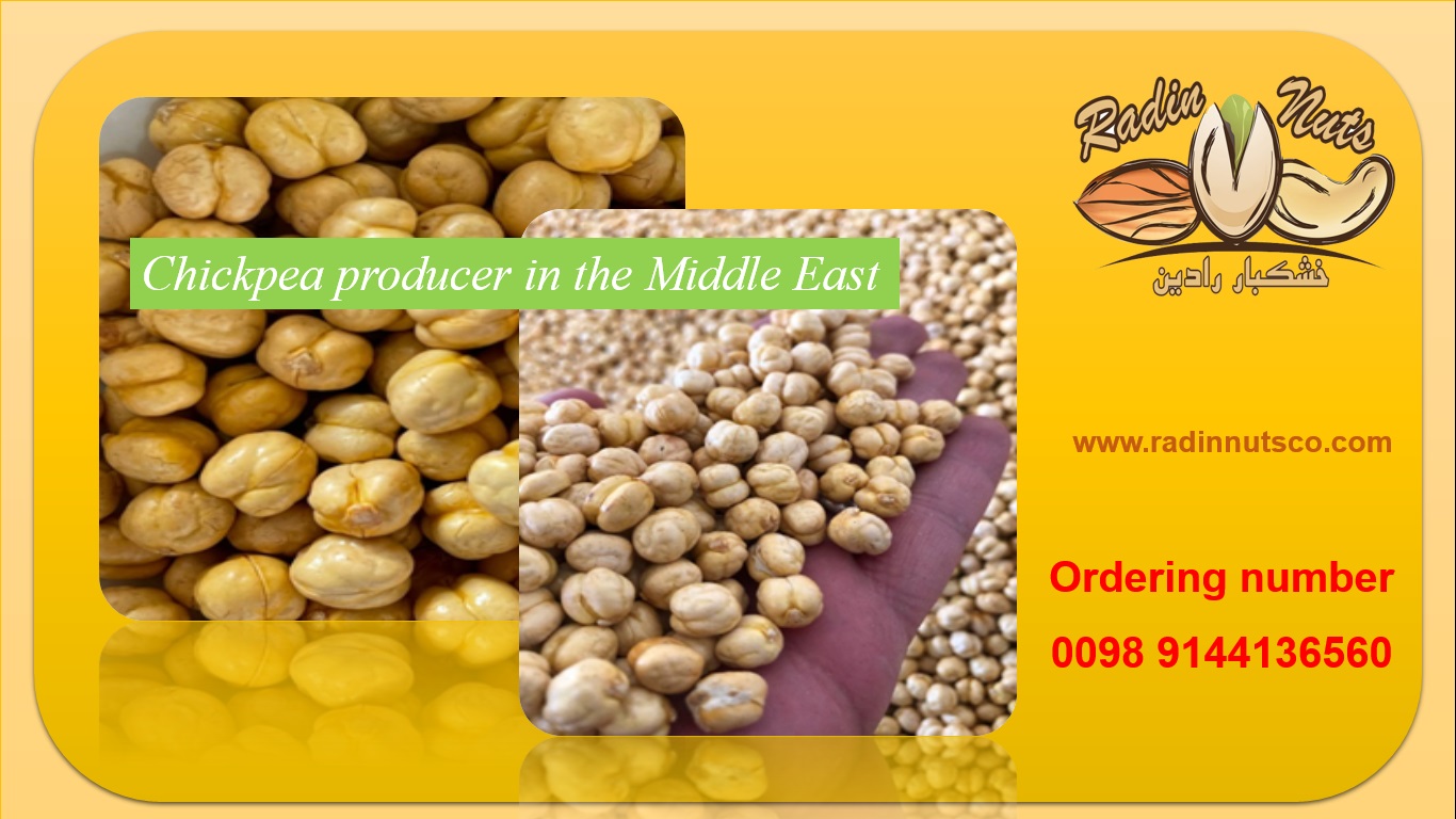 Chickpea producer in the Middle East