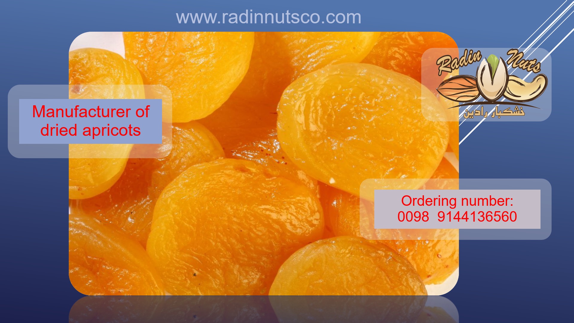 Applications of dried apricots
